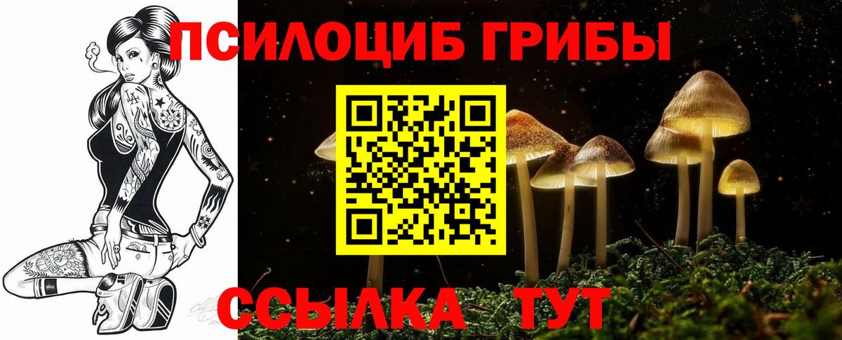 Псилоцибиновые грибы прущие грибы Похвистнево